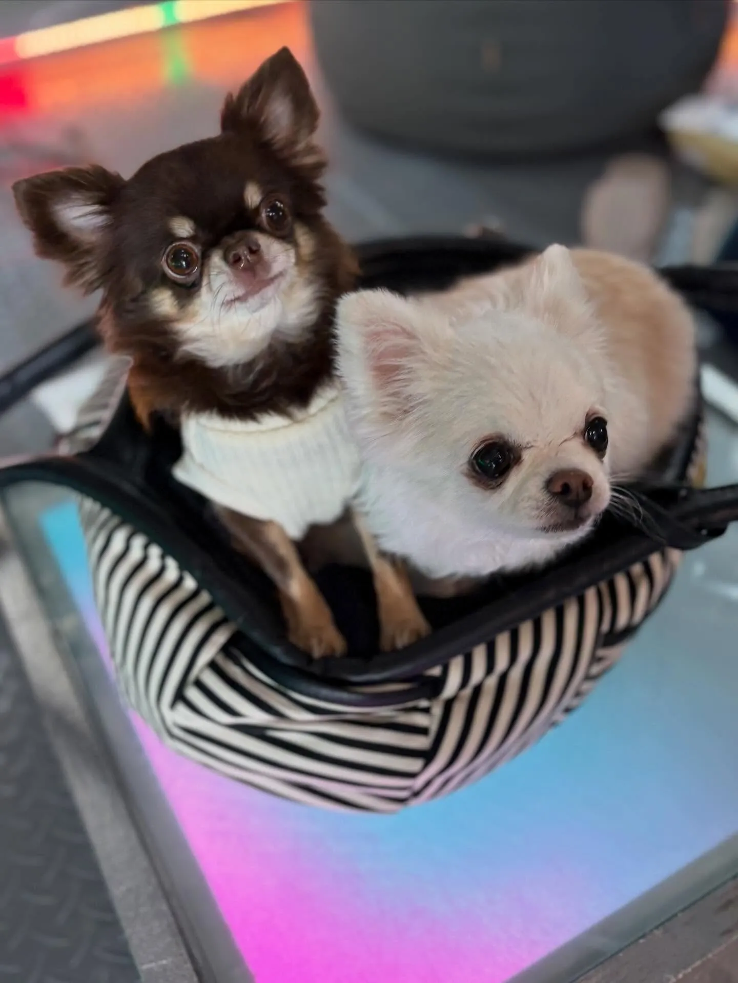 【全倍音で心身が整う◎奇跡の音楽ヒーリング】